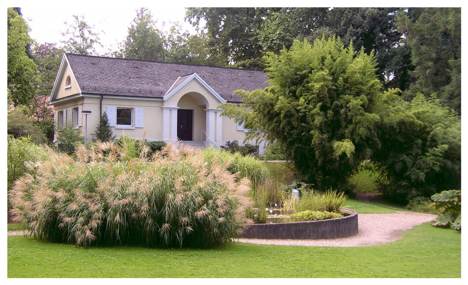 Botanischer Garten in Freiburg