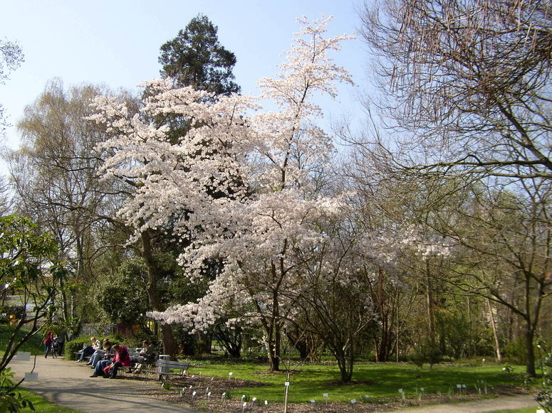 Botanischer Garten in Freiburg