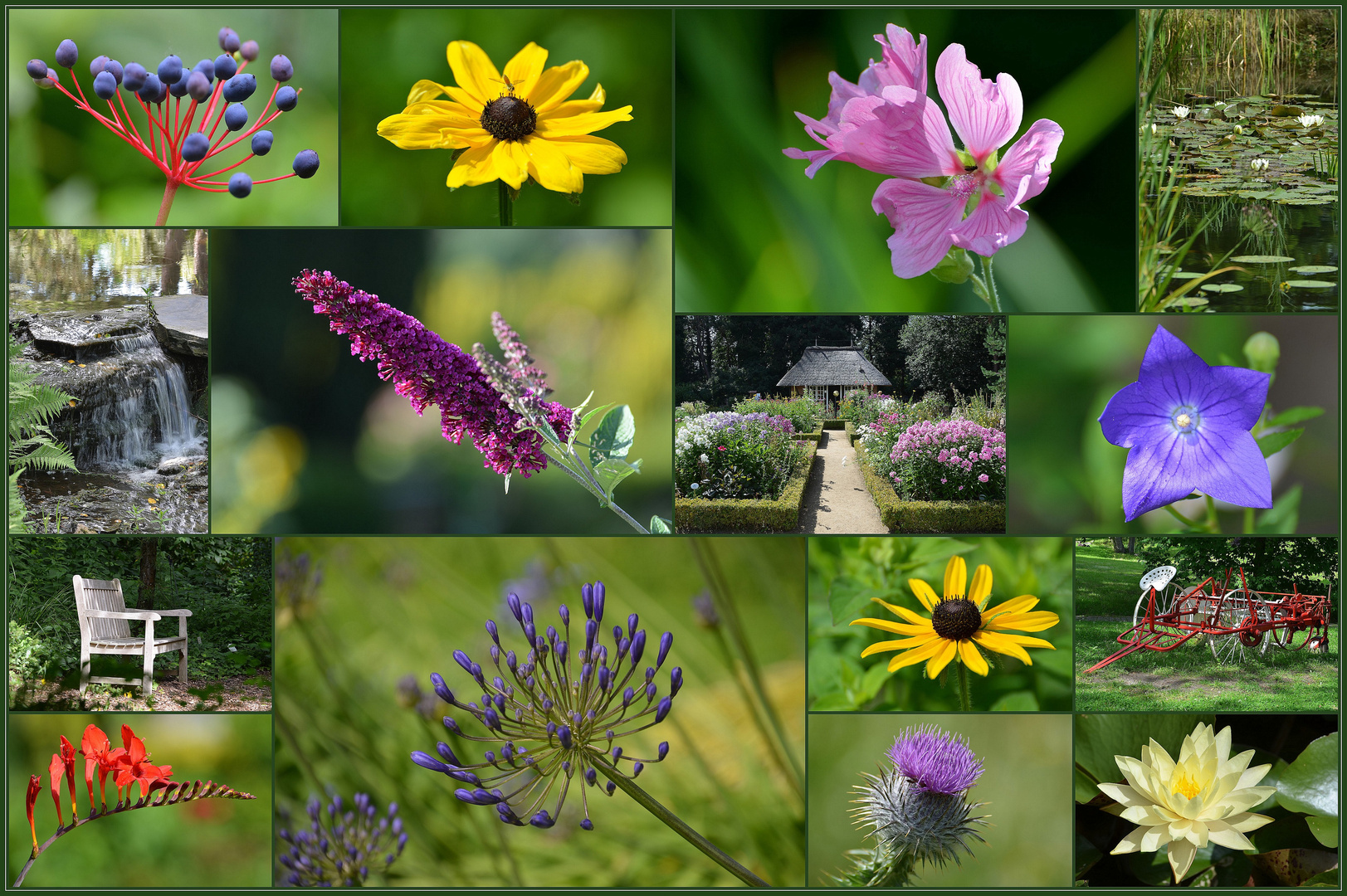 Botanischer Garten In Hamburg Foto Bild Landschaft Garten