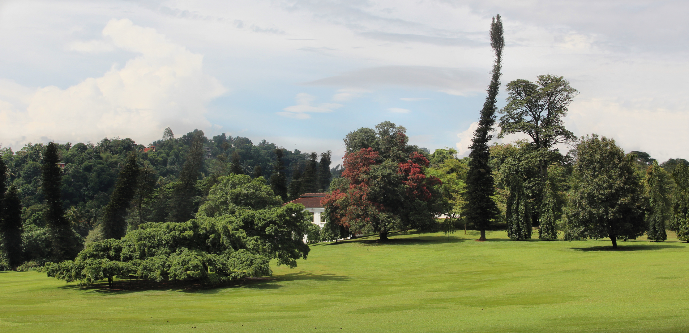 Botanischer Garten in Kandy