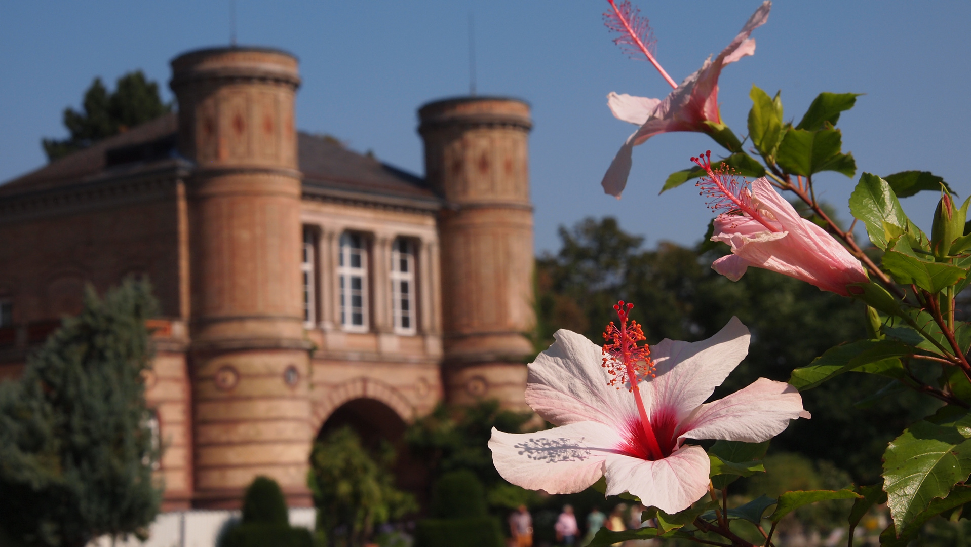 Botanischer Garten in Karlsruhe