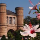 Botanischer Garten in Karlsruhe