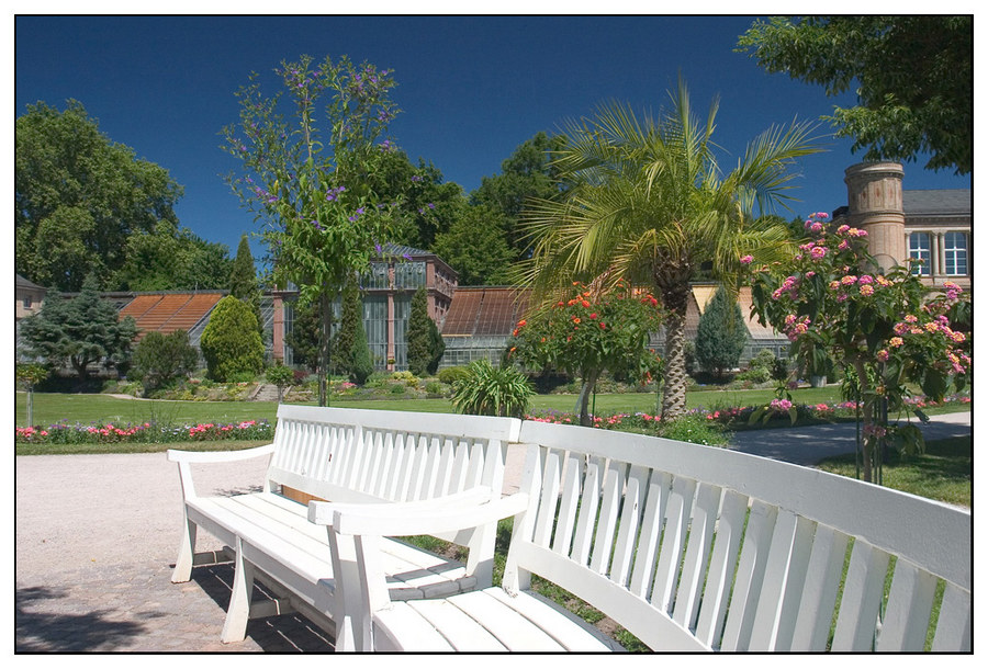 Botanischer Garten in Karlsruhe#2