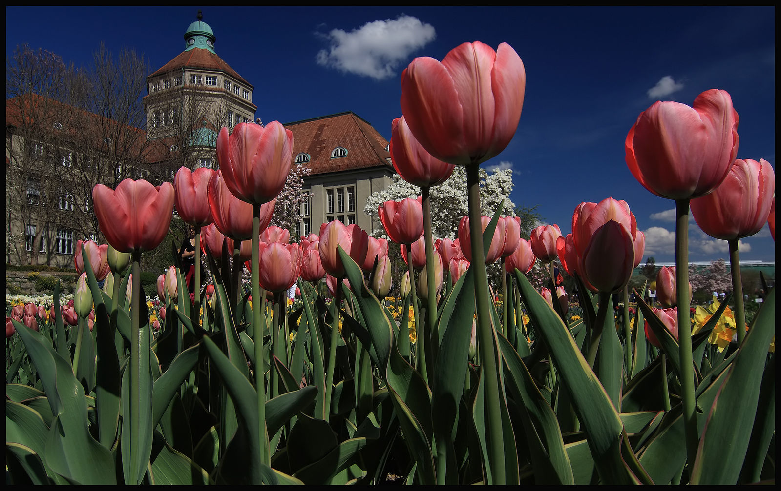 Botanischer Garten in München Foto & Bild münchen und umgebung Bilder