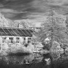 Botanischer Garten in Münster