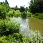 Botanischer Garten in Prag