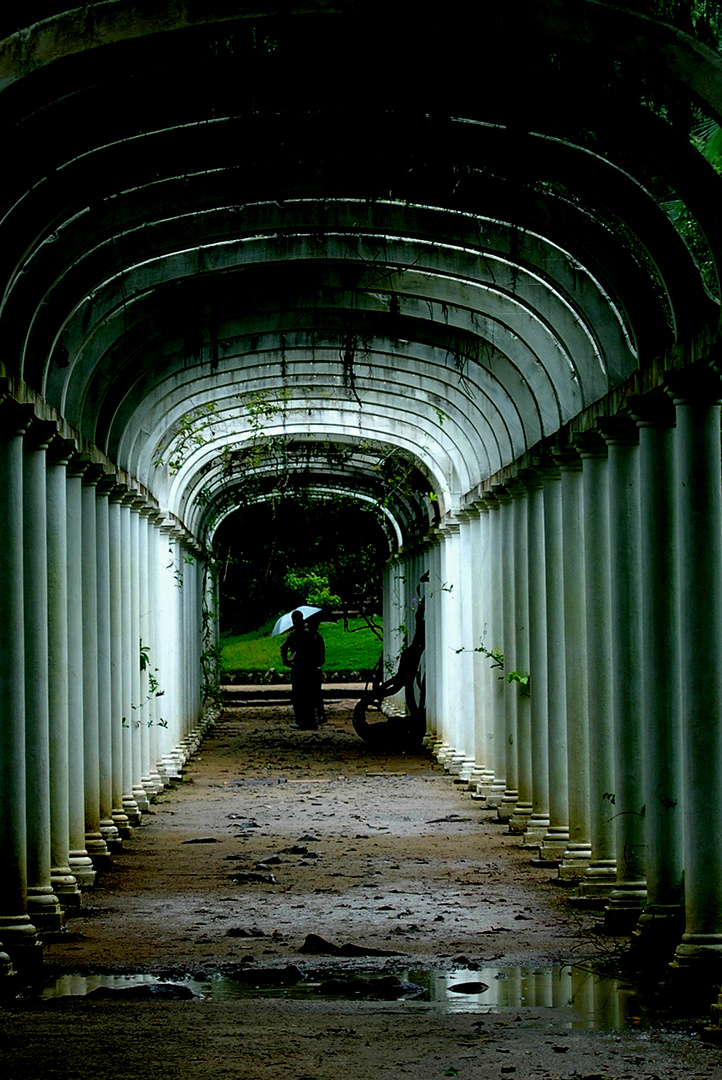 Botanischer Garten in Rio De Janeiro