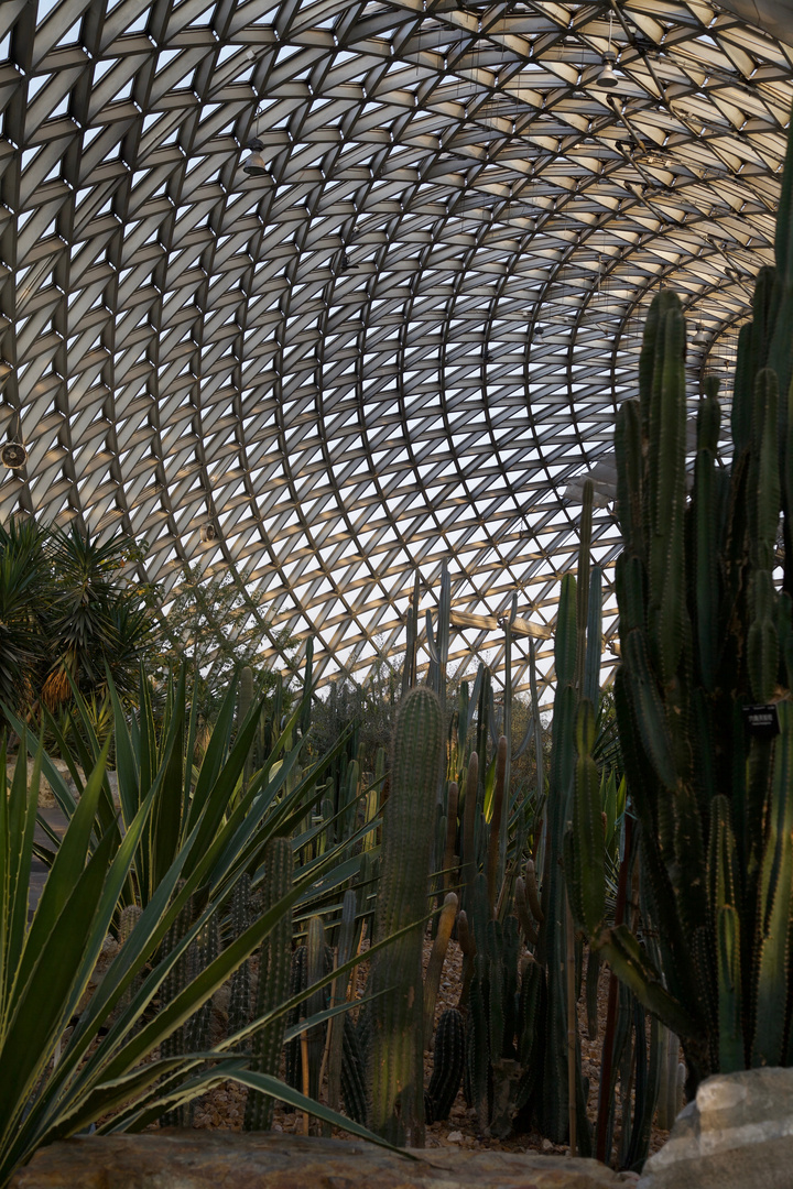Botanischer Garten In Shanghai Ii Foto Bild Art China Park