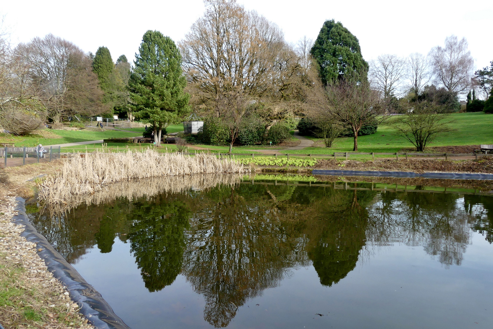 Botanischer Garten in Solingen ...