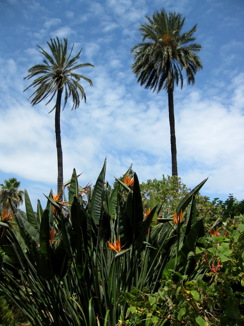 Botanischer Garten in Soller