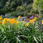 Botanischer Garten in Visby