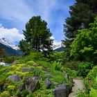 Botanischer Garten Innsbruck