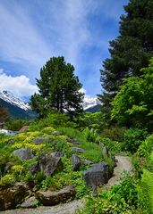 Botanischer Garten Innsbruck