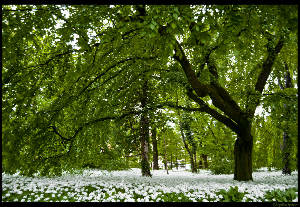 Botanischer Garten Innsbruck / Tirol