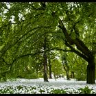 Botanischer Garten Innsbruck / Tirol