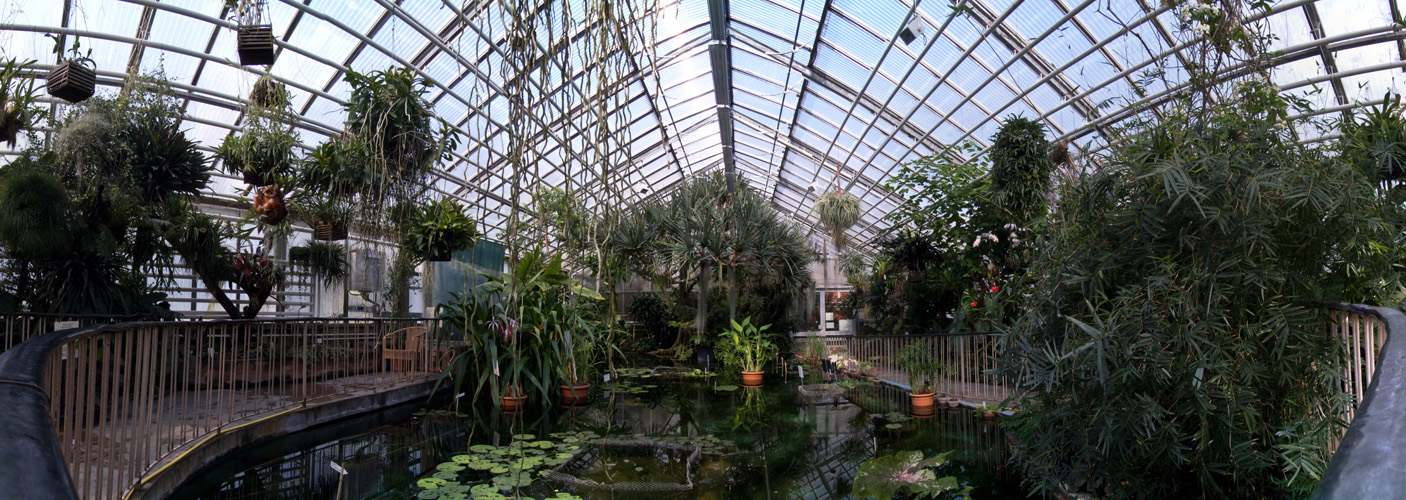 Botanischer Garten jena Foto & Bild panorama, techniken