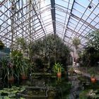 Botanischer Garten jena