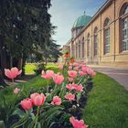 Botanischer Garten Karlsruhe