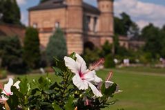 Botanischer Garten Karlsruhe II