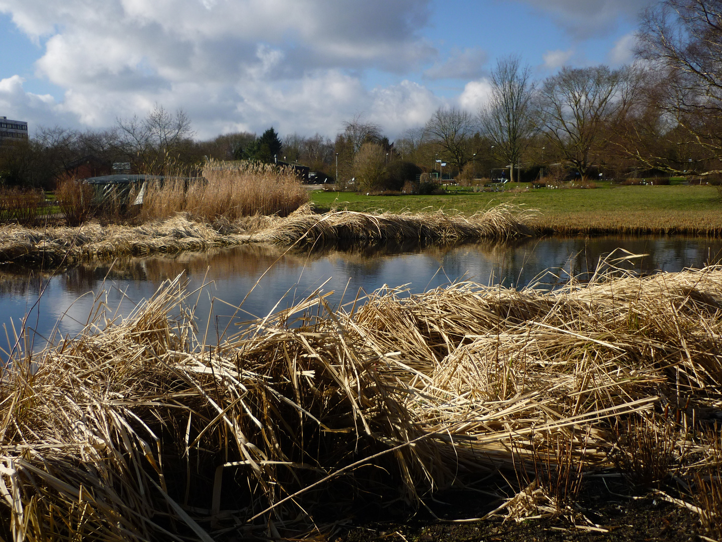 Botanischer Garten Kiel