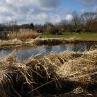 Botanischer Garten Kiel