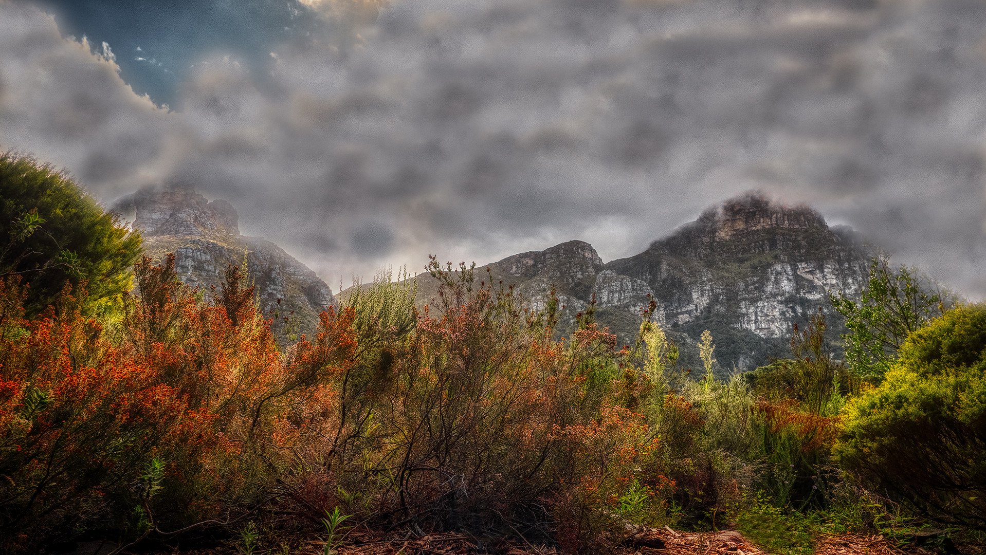 Botanischer Garten Kirstenbosch (10)