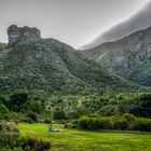 Botanischer Garten Kirstenbosch (12)