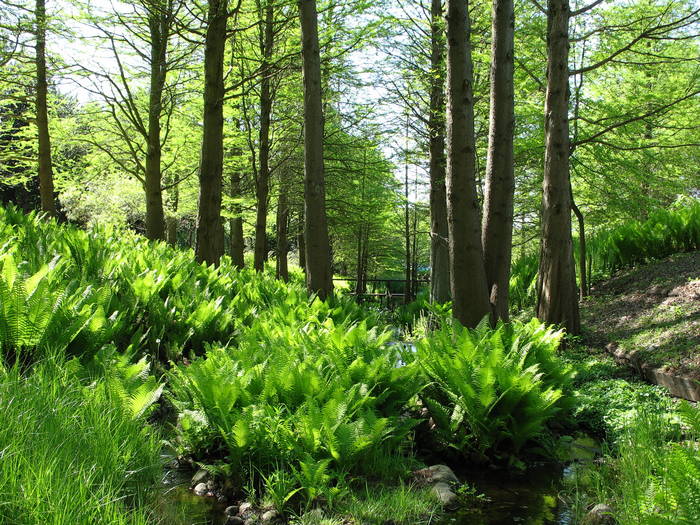 Botanischer Garten Klein Flottbeck in Hamburg