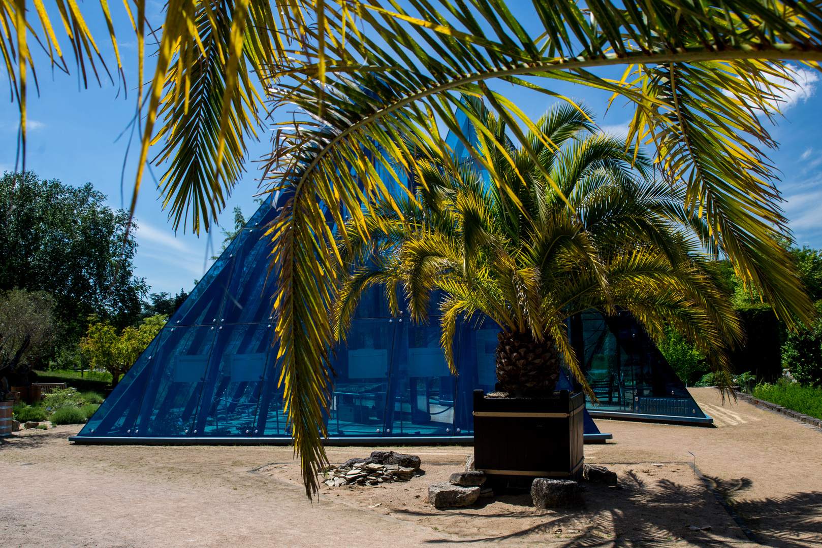 botanischer Garten Klein Flottbek