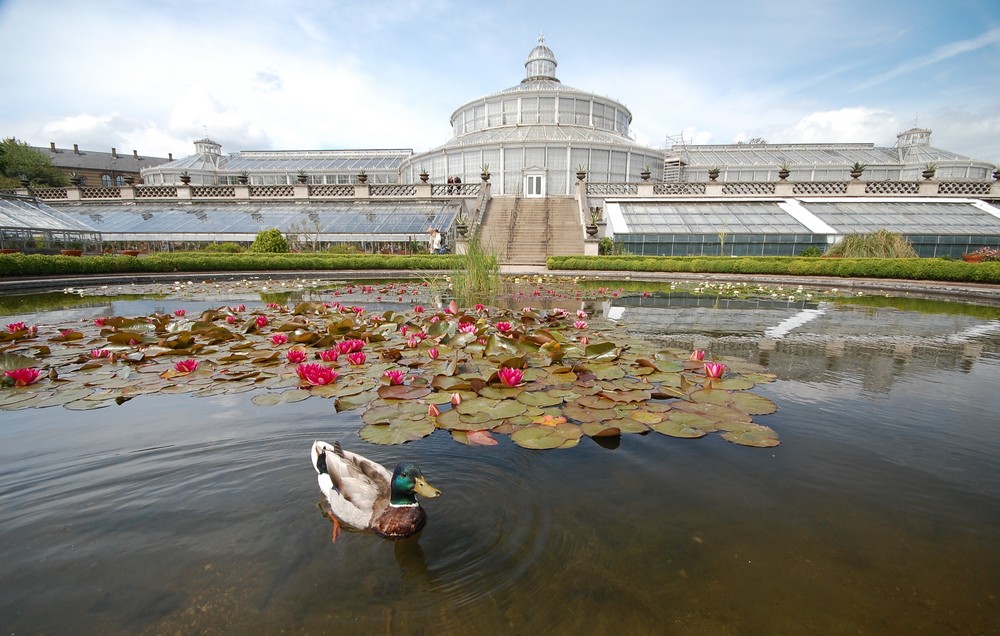 Botanischer Garten Kopenhagen