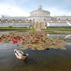 Botanischer Garten Kopenhagen