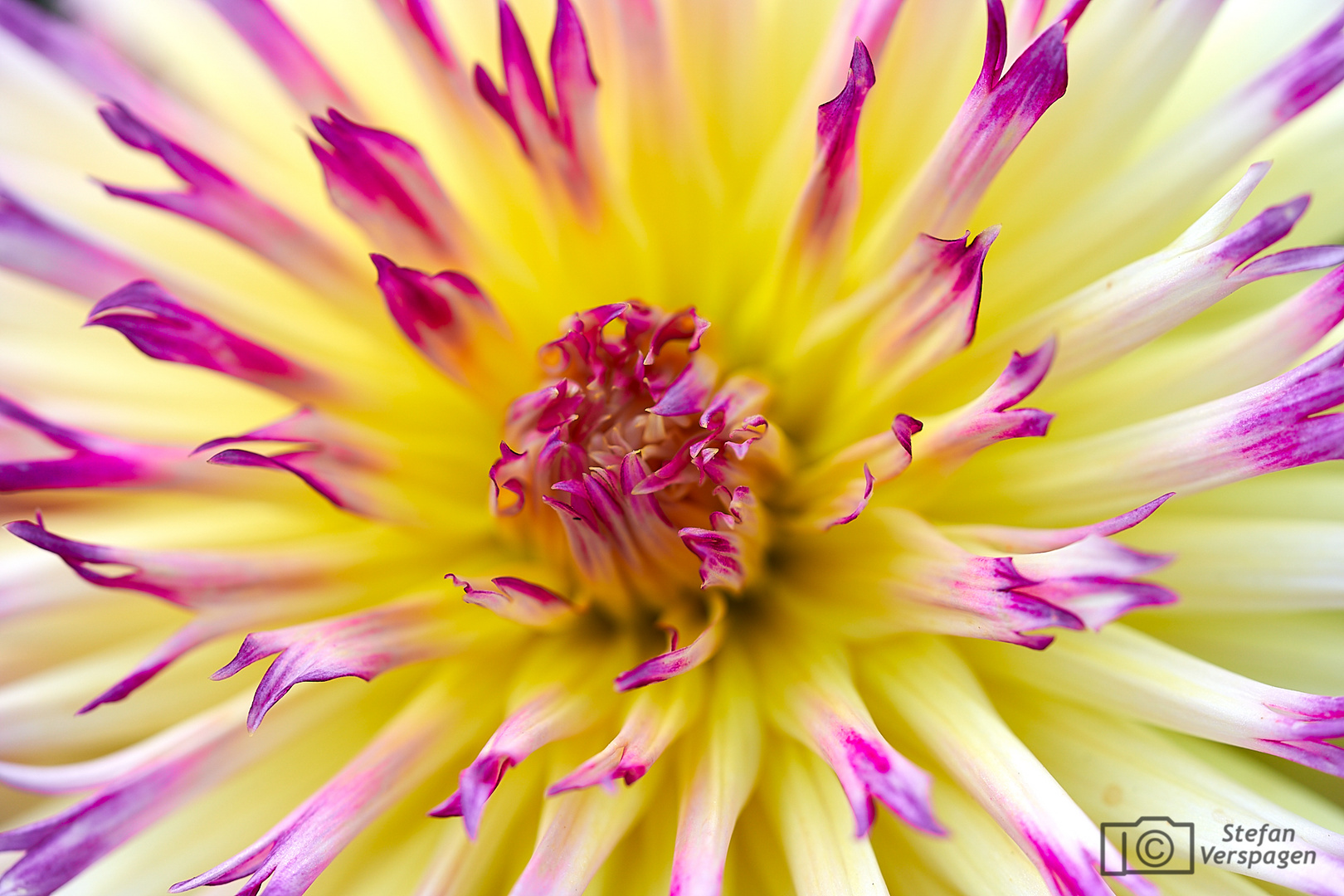 Botanischer Garten Krefeld 1 Foto & Bild pflanzen, pilze