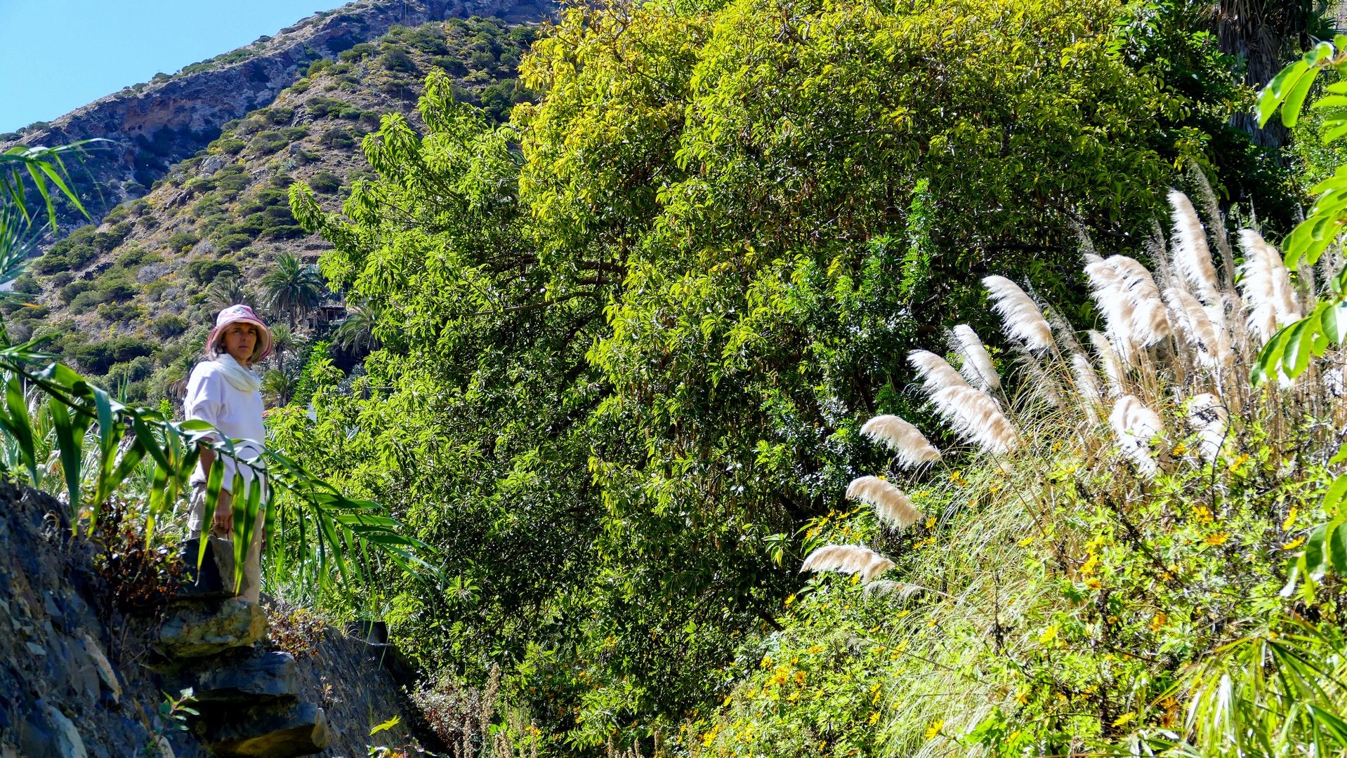 Botanischer Garten - La Gomera