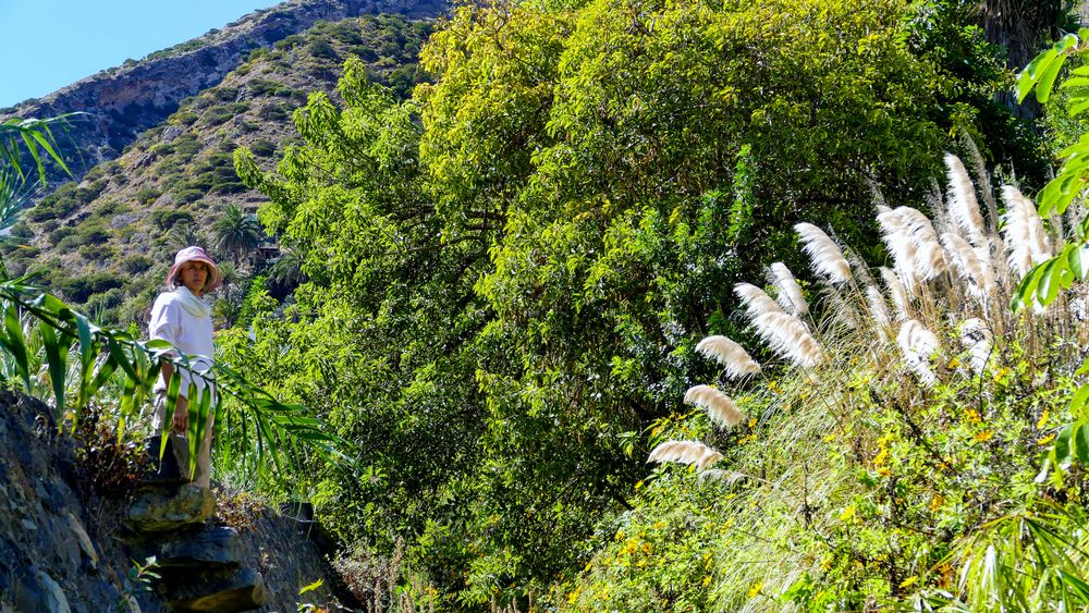 Botanischer Garten - La Gomera