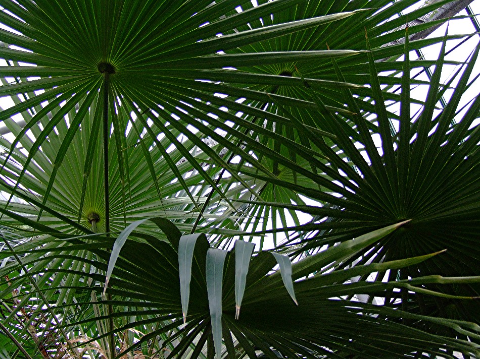 Botanischer Garten Lieberec