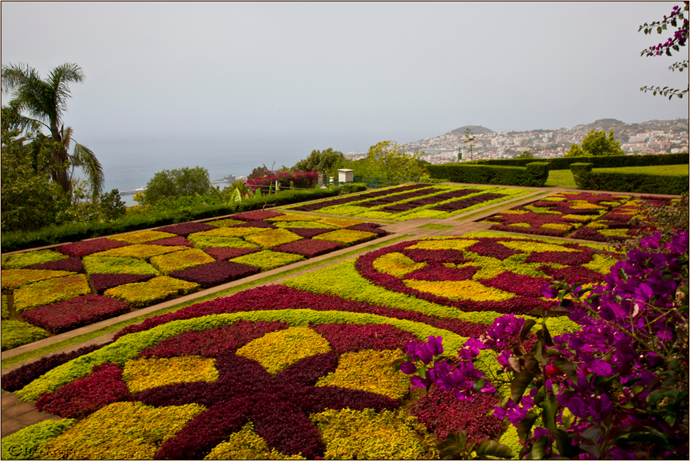 Botanischer Garten Madaira '2015