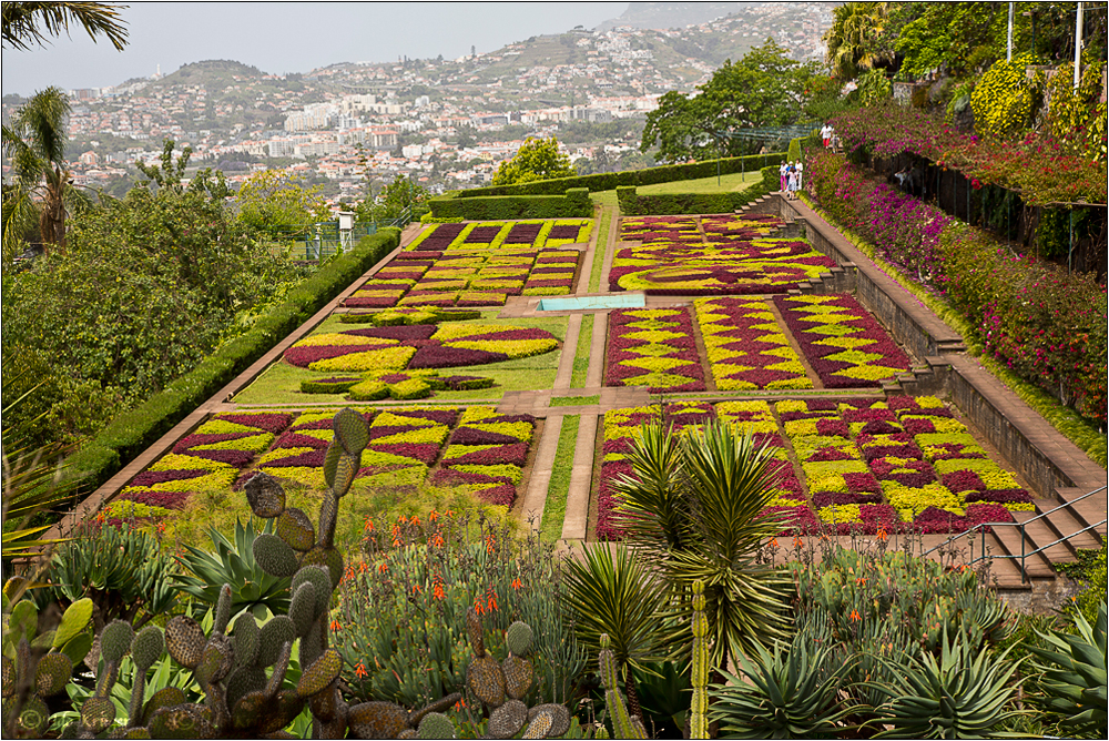 Botanischer Garten Madaira 2015