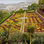 Botanischer Garten Madaira 2015