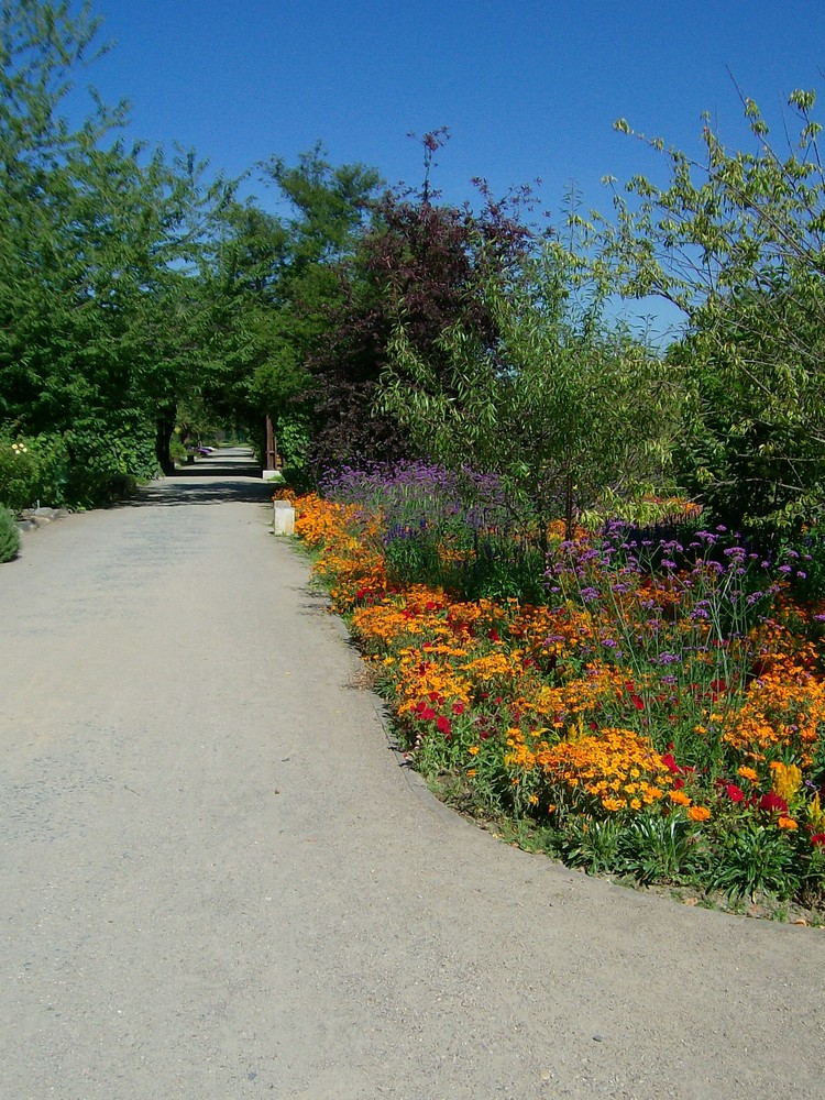 37+ schlau Bilder Mainz Botanischer Garten / Campus Mainz