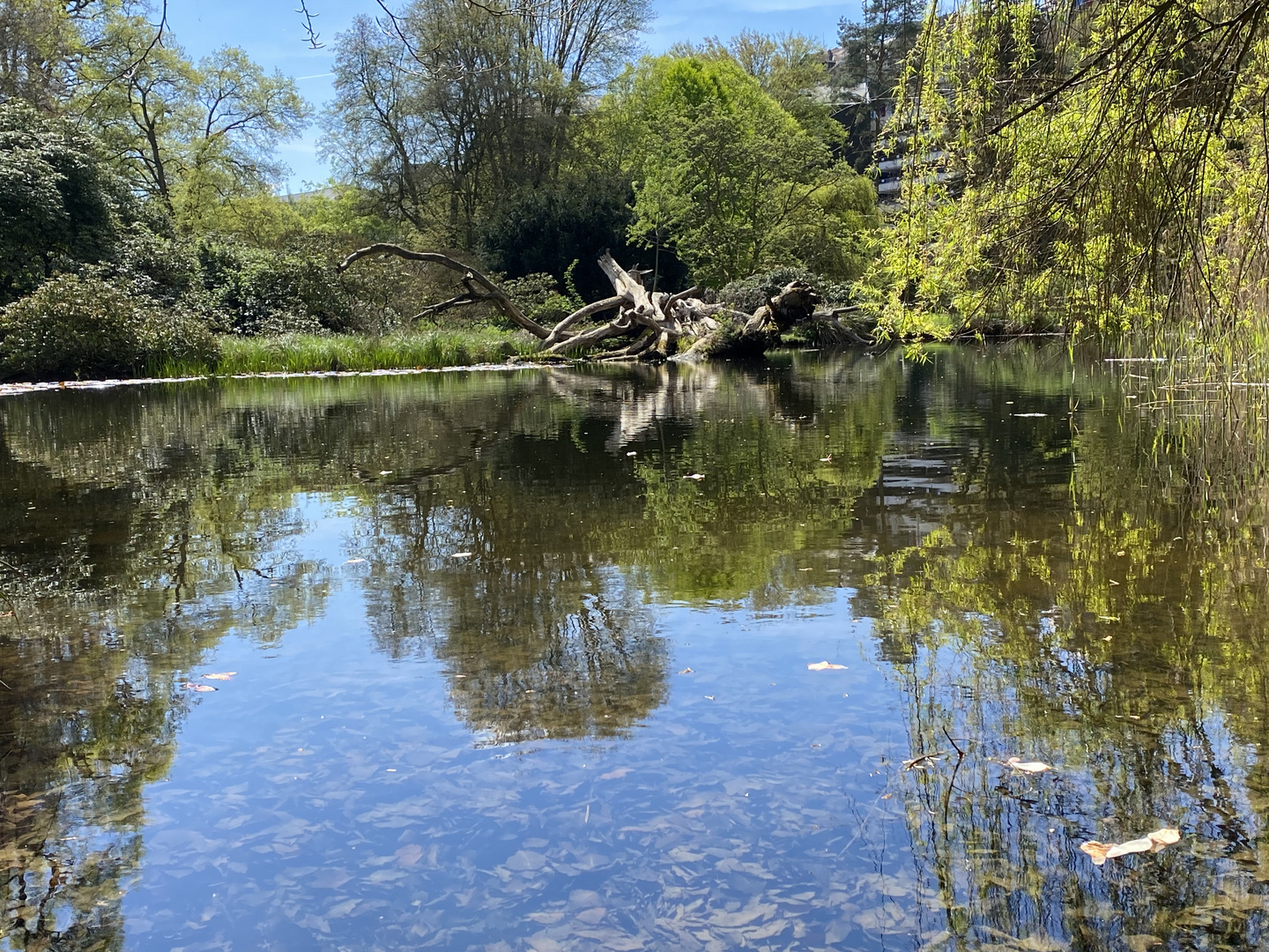 Botanischer Garten Marburg