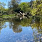 Botanischer Garten Marburg