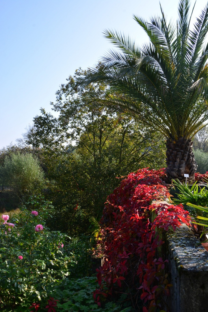 Marburg Botanischer Garten / Freundeskreis Botanischer