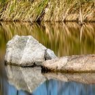 Botanischer Garten (Marburg)  (ND Filter 1000x)