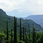 Botanischer Garten Meran