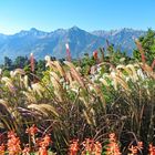 Botanischer Garten Meran