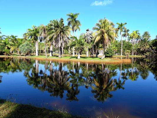 Botanischer Garten Miami