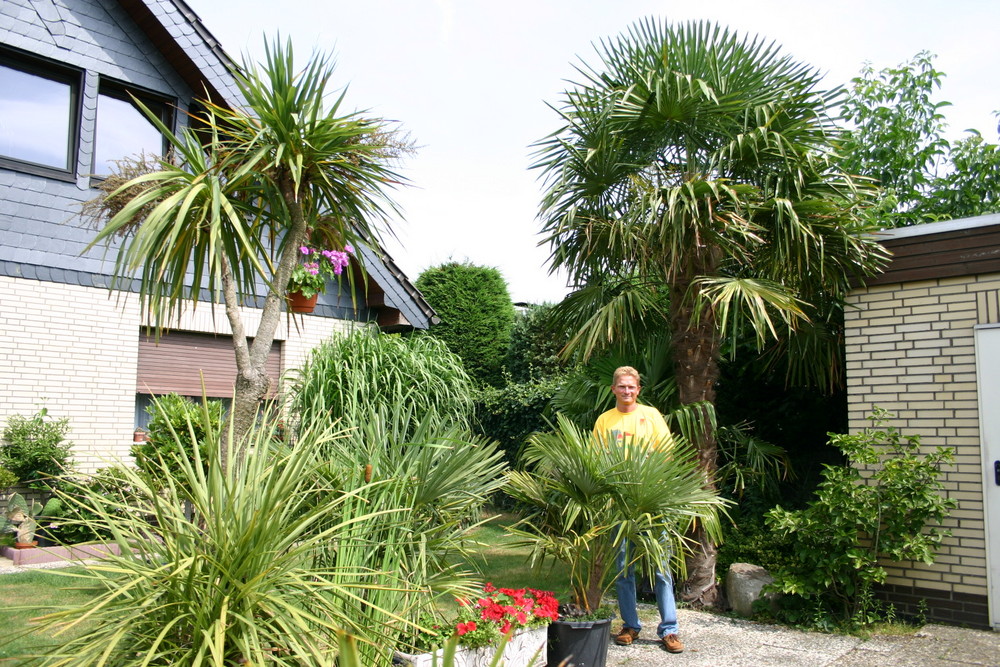 Botanischer-Garten-Mörse 7