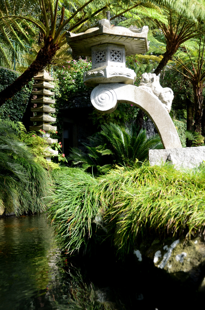 Botanischer Garten Monte In Madeira Foto Bild World Japan