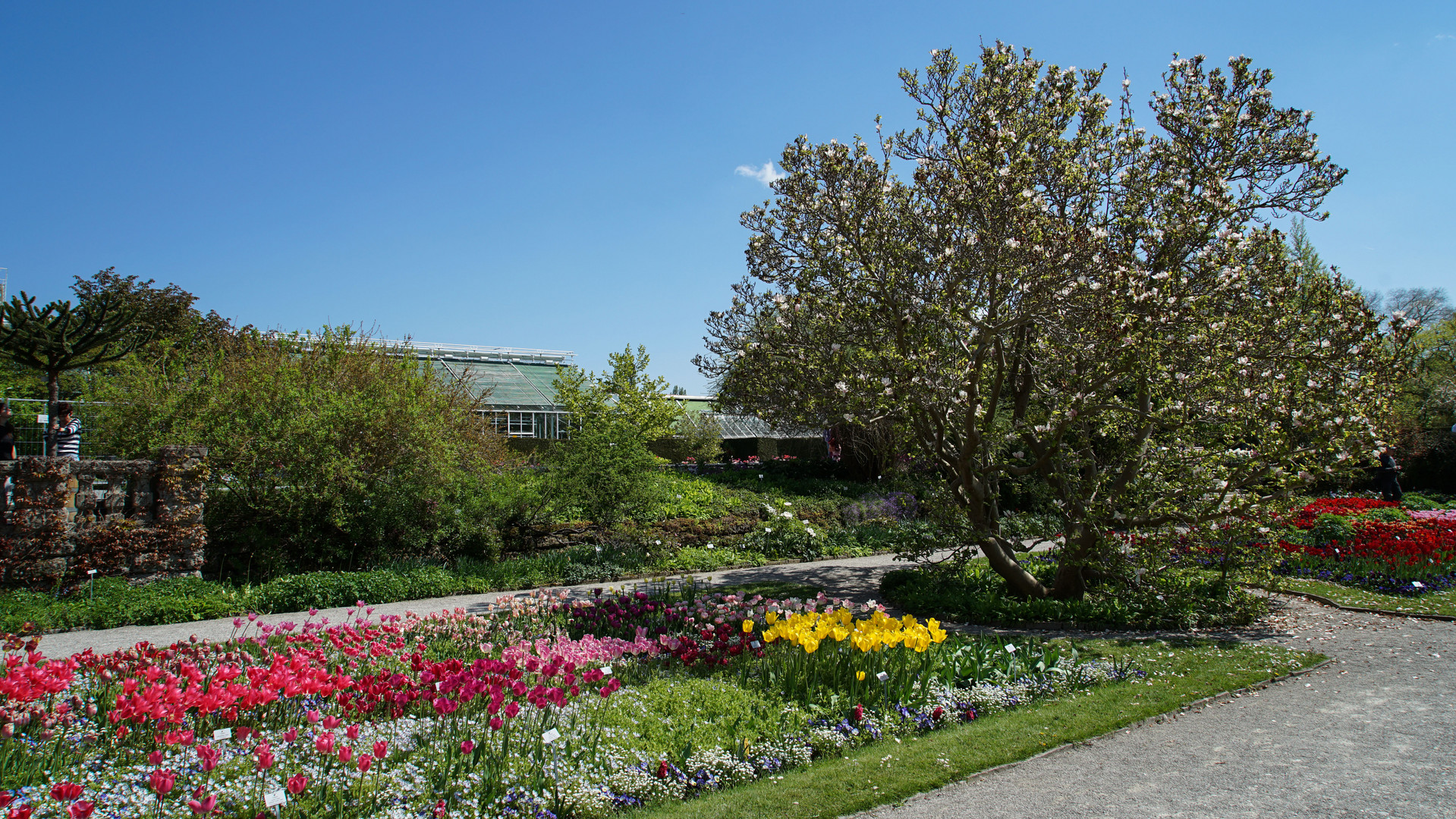 Botanischer Garten MUC