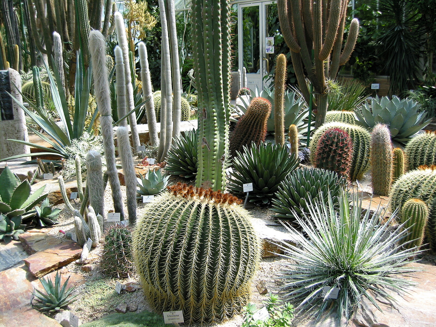 Botanischer Garten - Muenchen 03